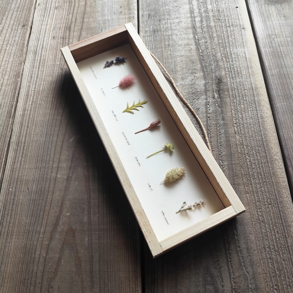  ２枚セット　植物標本風パネル+ボタニカルパネル